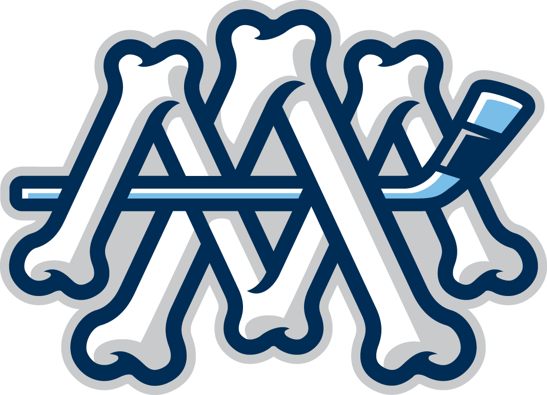 Milwaukee Admirals 2015-Pres Alternate Logo v2 iron on heat transfer